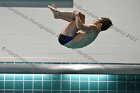 Swimming & Diving vs RWU  Swimming & Diving vs Roger Williams University. - Photo by Keith Nordstrom : Wheaton, Swimming